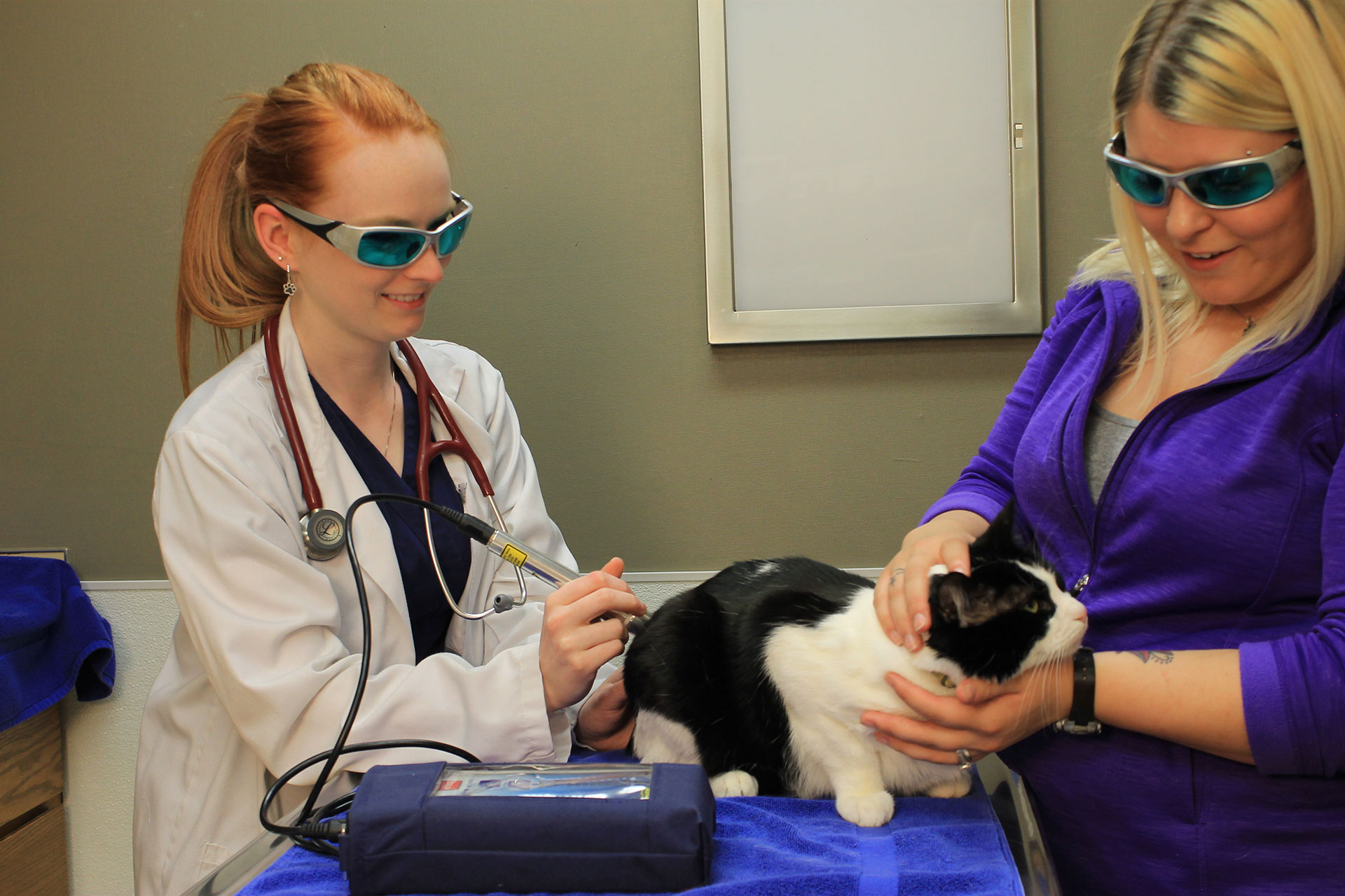 Laser Therapy Colorado Springs, CO